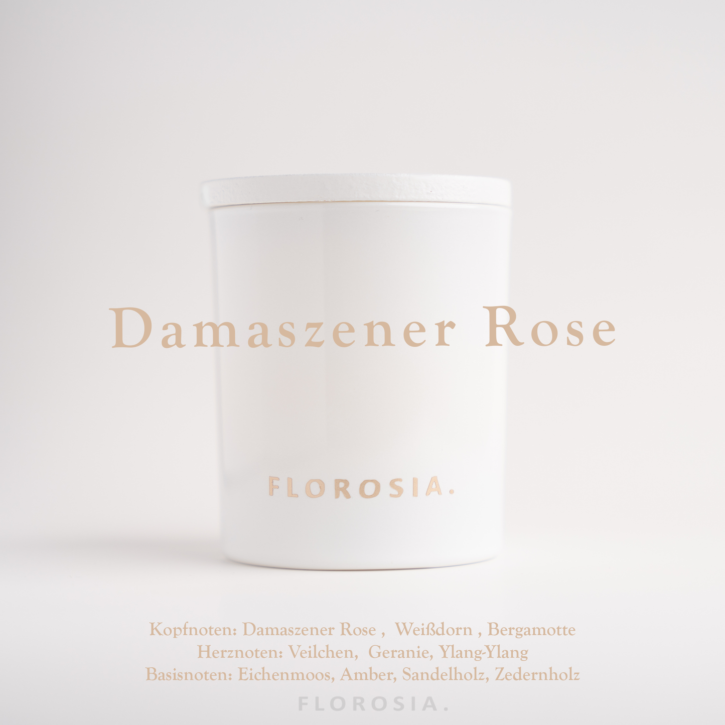 Damask rose