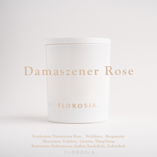 Damask rose